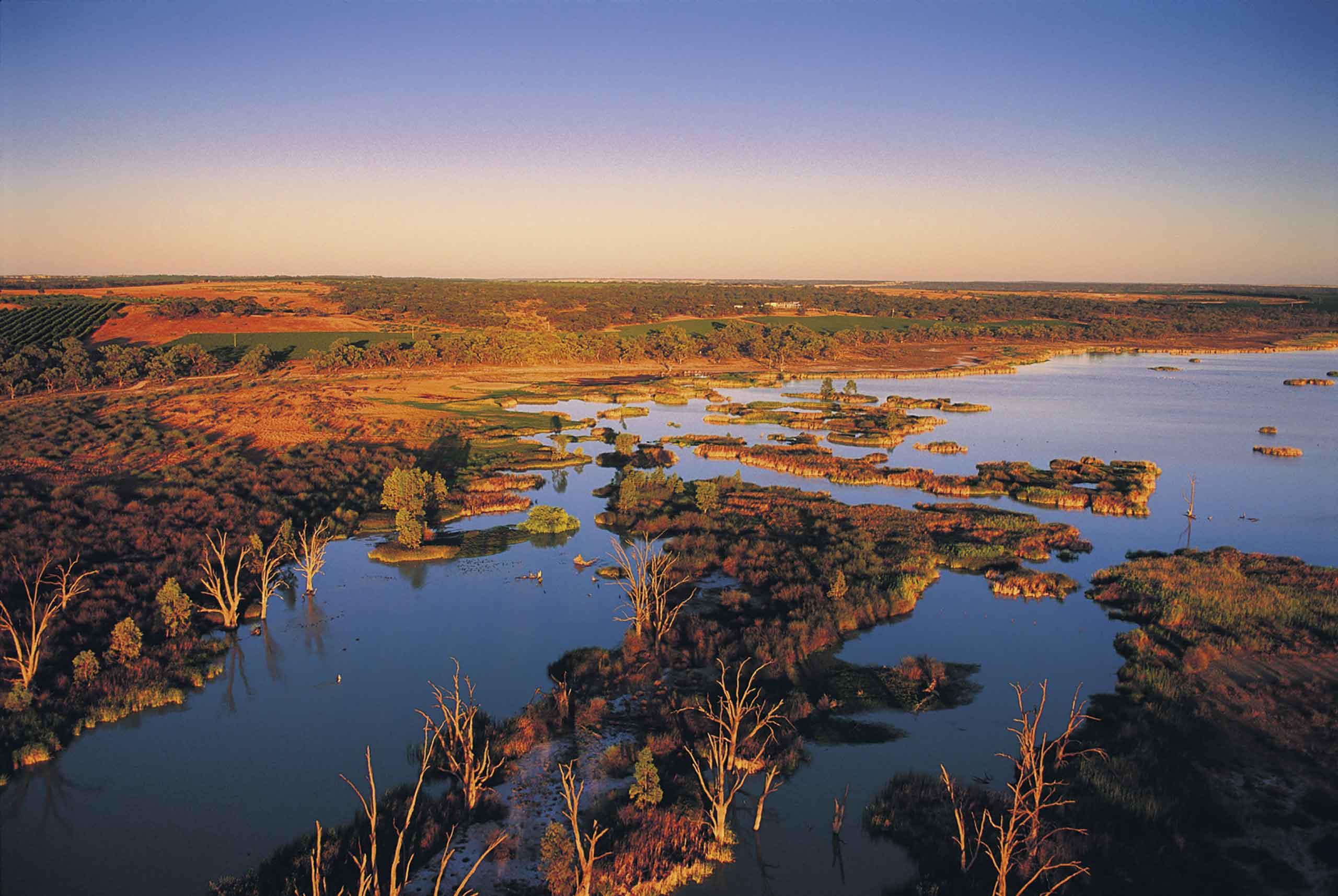 Крупные реки и озера австралийского. Муррей и Дарлинг. Кингстон, Австралия река Муррей. Реки Дарлинг и Муррей. Мюррей Ривер Австралия.